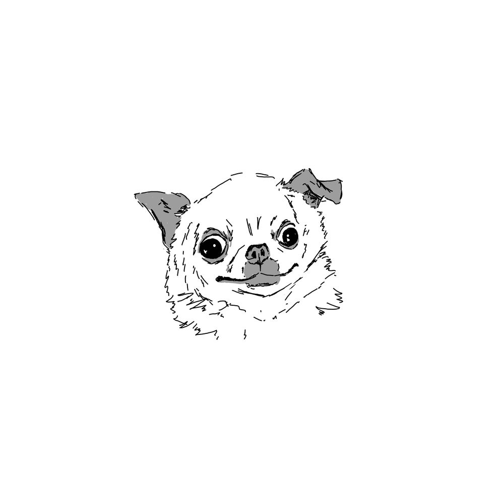 a black and white digital ink drawing of a chihuahua with wide eyes and a goofy smile