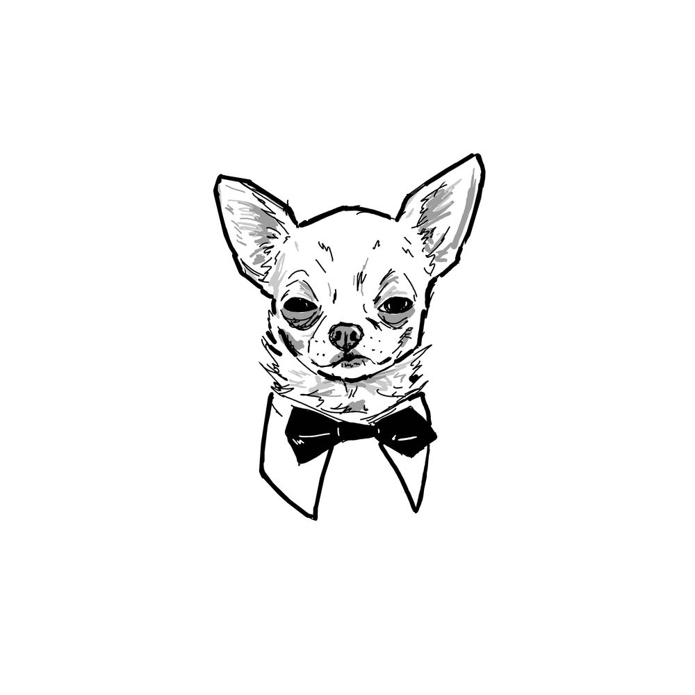 a black and white digital ink drawing of a chihuahua with a sassy expression wearing a bow tie 