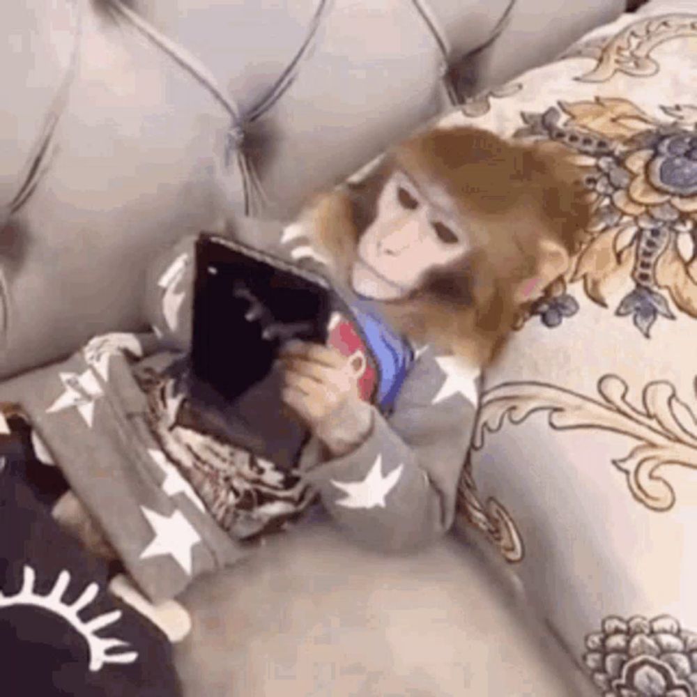 a monkey is sitting on a couch holding a cell phone .