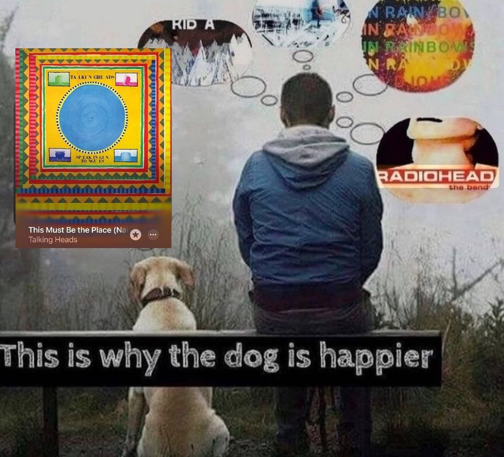 Meme, Hund und Mensch schauen in die Ferne. Beide haben Denkblasen über sich, in der des Hundes ist die Spotify Kachel von "This Must be the place" zu sehen. In der des Menschen sind mehrere Radiohead album cover zu sehen. Das Bild trägt die Unterschrift "This is why the dog is happier"