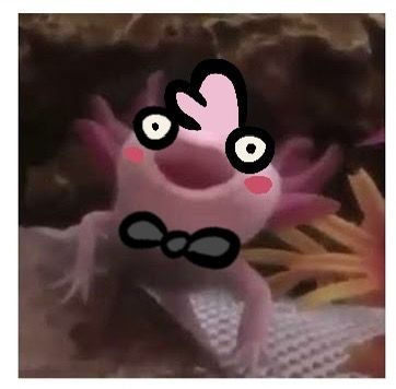 Doodle art drawover of an axolotl