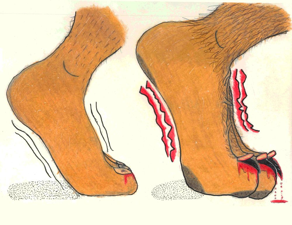 color pencil illustration of a foot transforming into werewolf paw. 