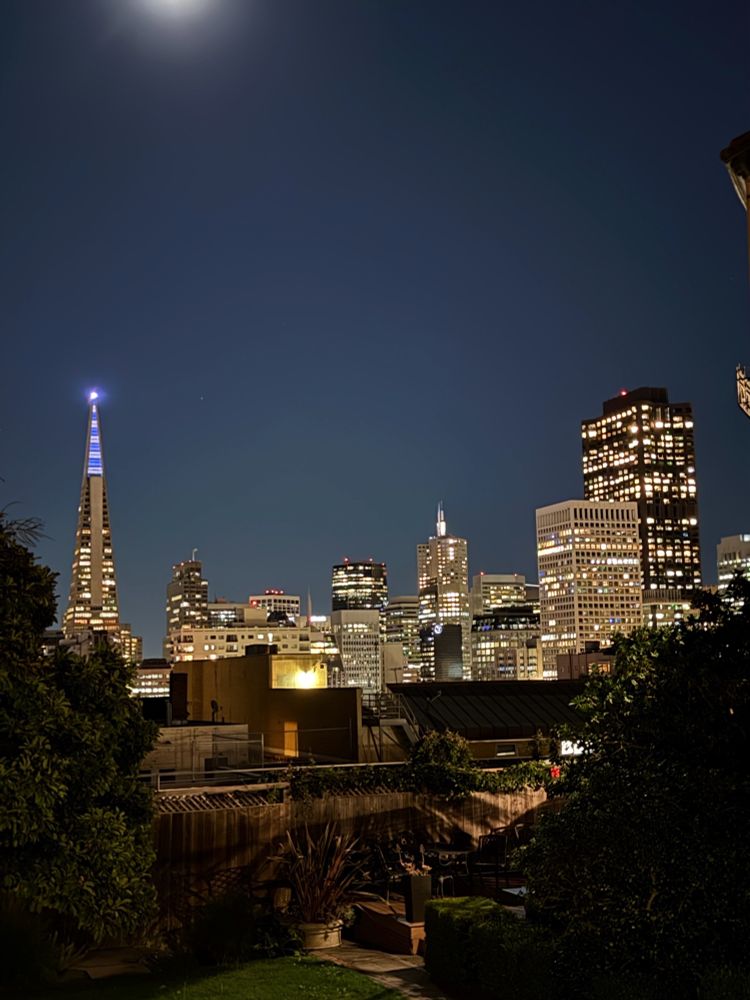 View of the San Francisco financial District skyline at night. Transamerica building is lit up at the top in blue and white.