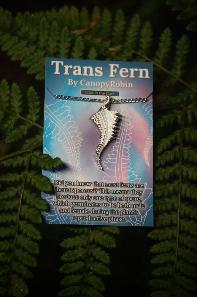 An enamel fern in the colours of the trans pride flag, hanging from a silver chain by its curled over stem. It's on a backing card that says Trans Fern by Canopy Robin. Glow in the dark. Did you know that most ferns are homosporous? This means they produce onlye one type of spore which germinates to be both male and female during the plant's reproductive phase.
