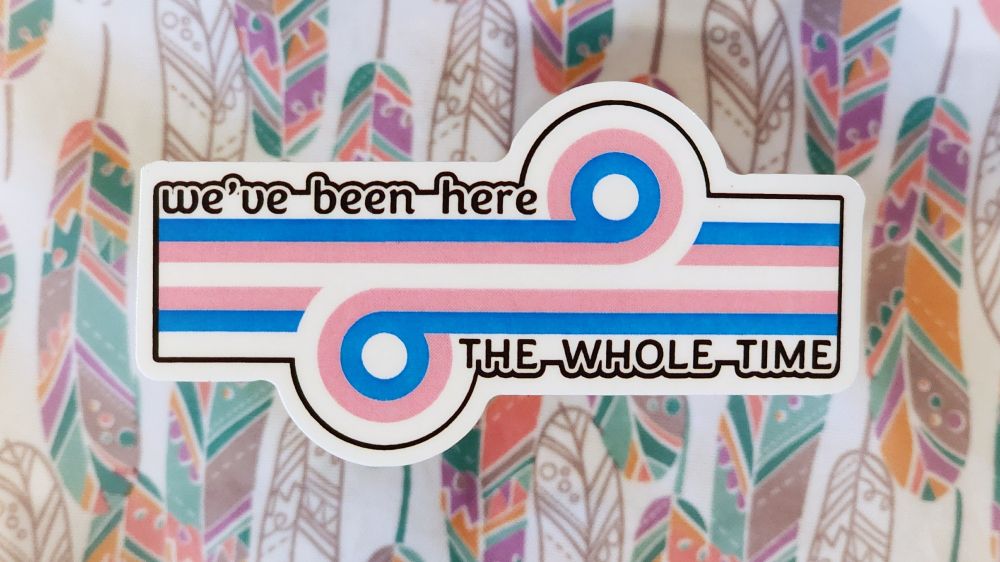 the game changer loop-de-loop design as a sticker in trans colours with the words "we've been here" above it and "The whole time" below it.