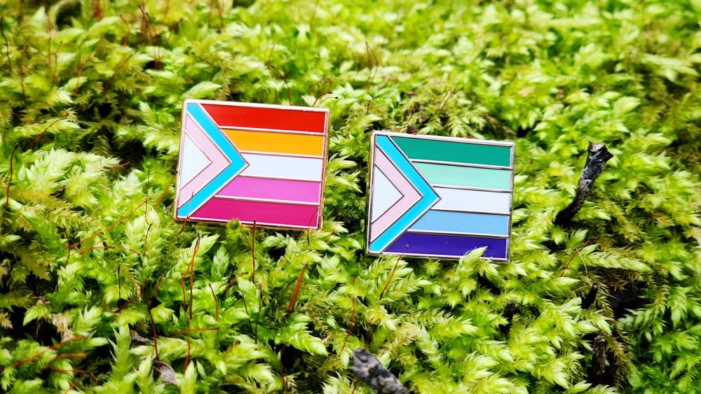 Two rectangular hard enamel pins. Each has the trans pride chevron from the progress pride flag on the left side. The rest of the design is either the gay man pride stripes (outlined in silver metal) or the lesbian pride stripes (outlined in rose gold metal)