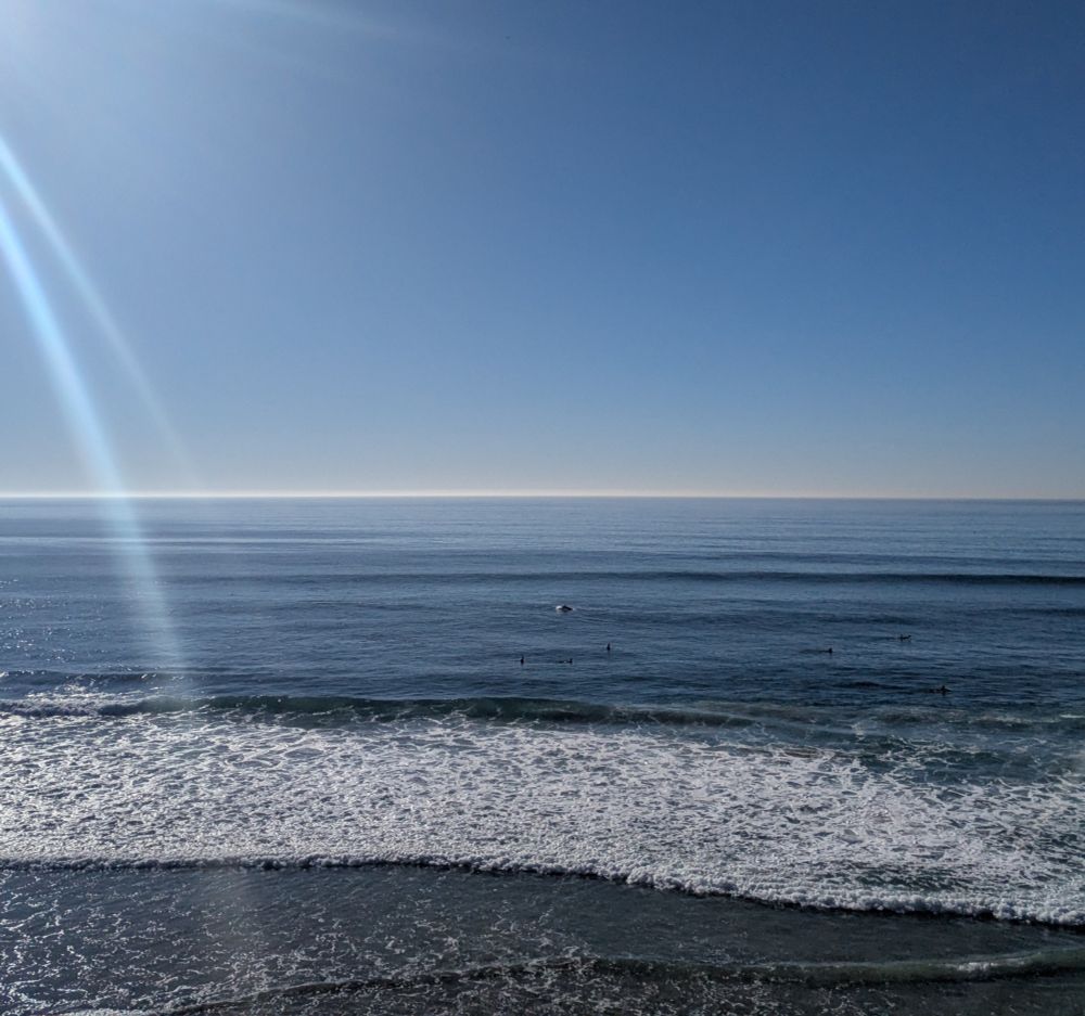 Dolphin and surfer decmber in San Diego.