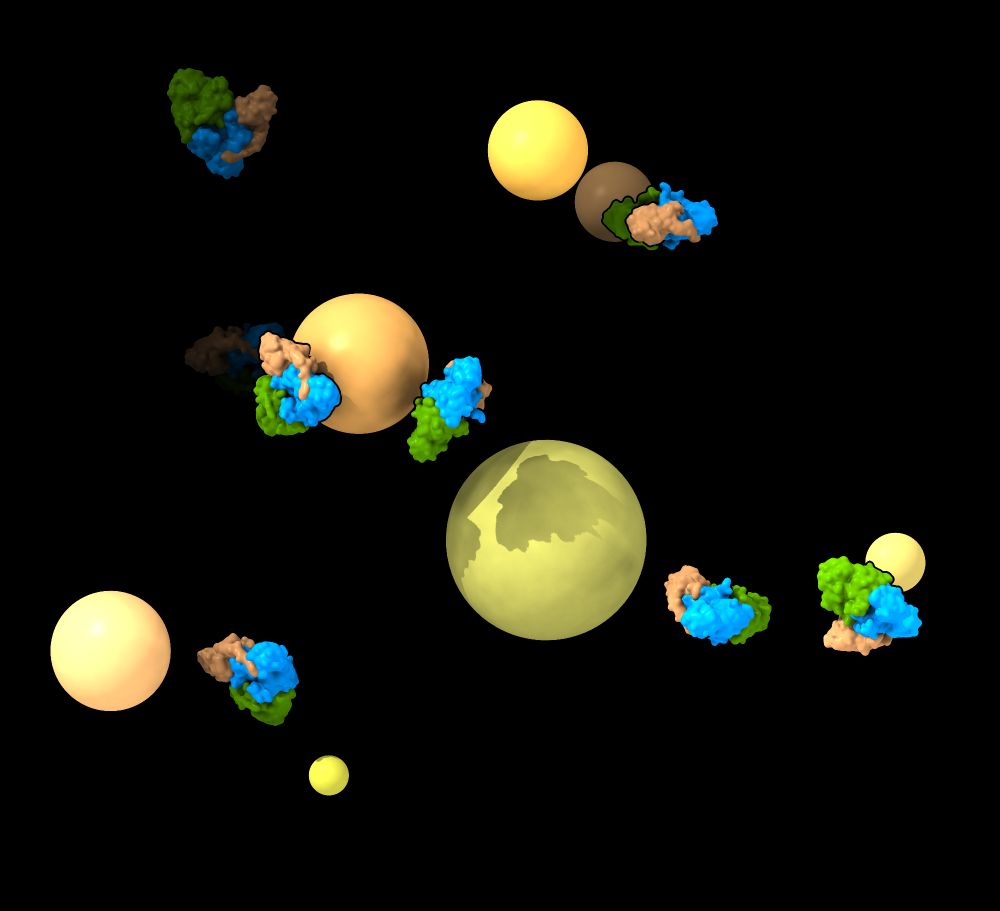 Graphical abstract of Fuzzy-Inturned and Rab23 on liposomes.