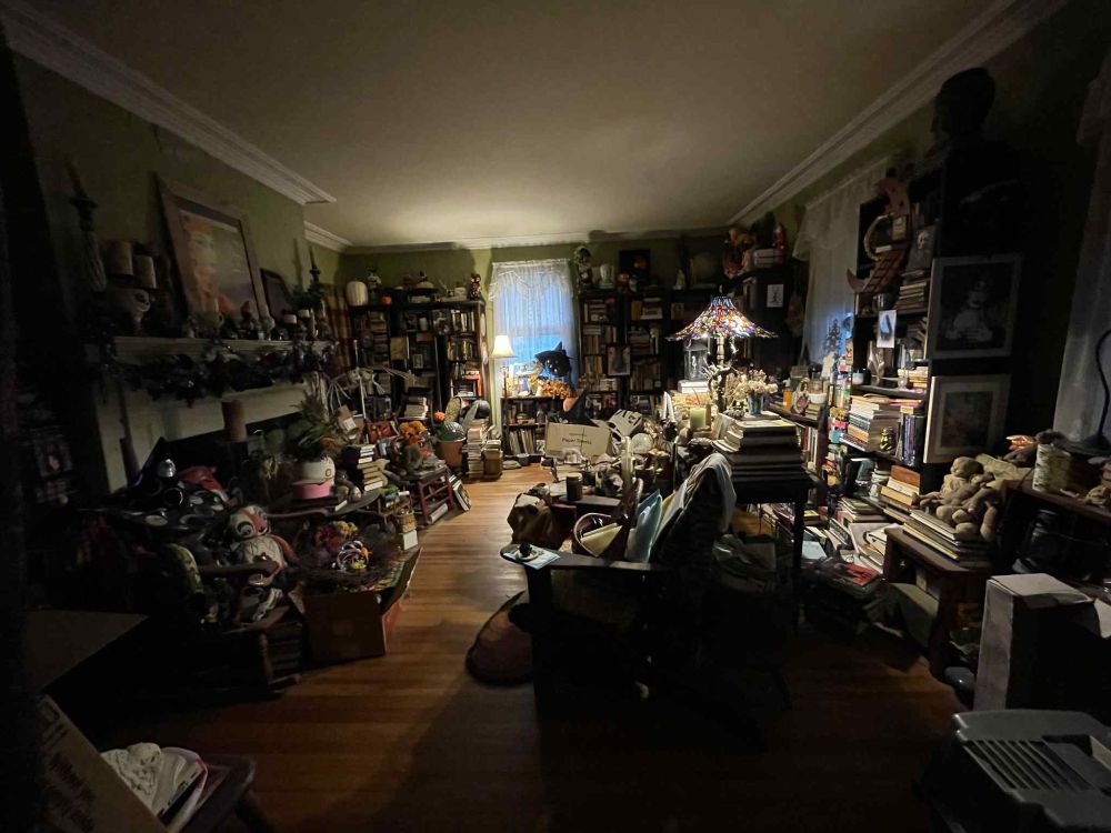 A slightly spooky, very maximalist library room in an old house.