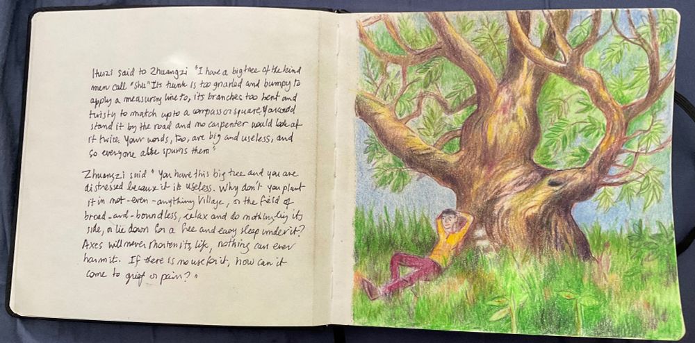 A man resting under a gnarly tree