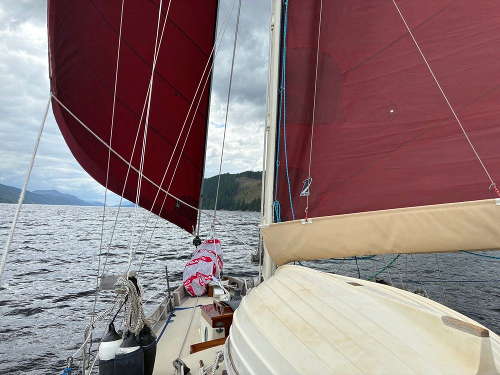 Indigo wing and wing. The Loch stretches narrowly out before the bow. Genoa is port, main starboard. You can just see the preventer I’ve rigged on the main, bottom right.