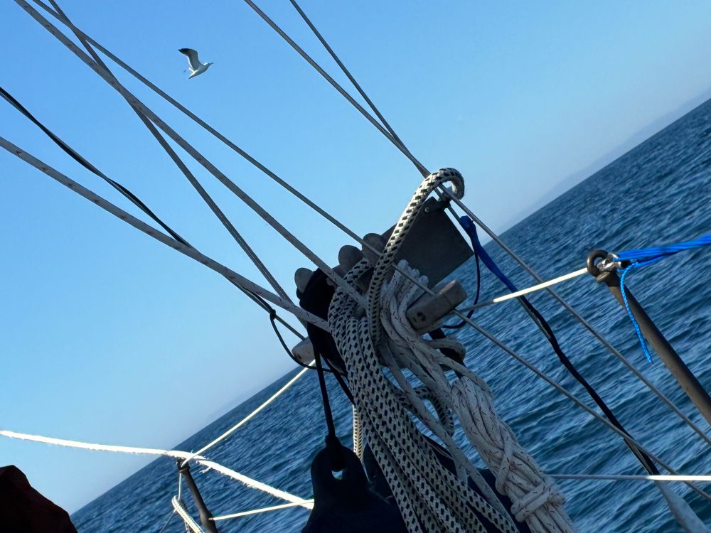 View off starboard beam as Indigo makes her way down firth towards Inverness. It’s a cerulean day - bright light blue sky atop an emerald blue sea. Nary a cloud. One sea bird flits across the frame.