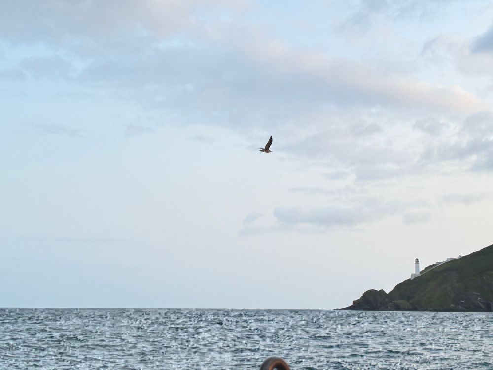Rounding the corner into Port Mooar. A lighthouse accents the craggy cliff point to right. A bird flies across the e overcast sky center. Dark blue slightly unsettled seas.