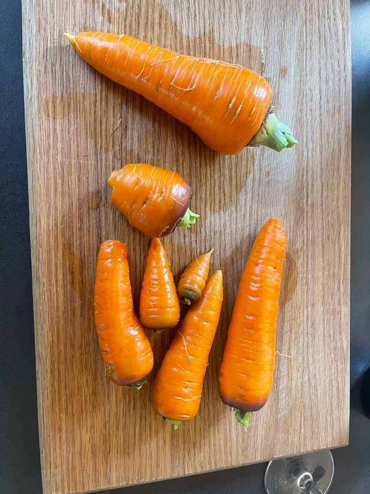 Carrots Chantenay 