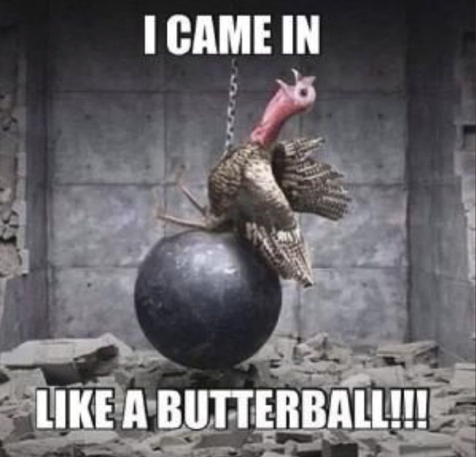 Turkey on a wrecking ball.

Text: I came in like a Butterball!!!