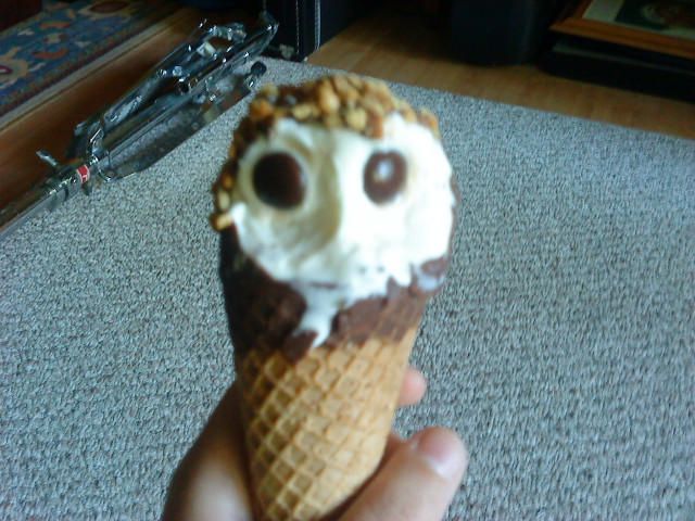 Vanilla ice cream cone, covered in a chocolate shell, rolled in chopped nuts, with a couple bites taken out of it, and two chocolate buttons inserted into the ice cream in such a way that the cone now resembles a barn owl's head.