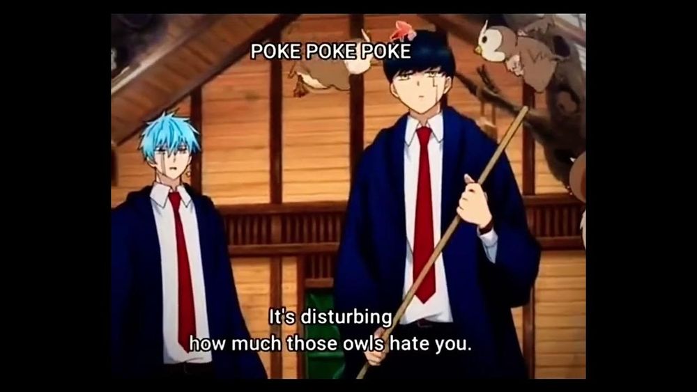 From the anime Mashle. Two owls poking the protagonist's head, while another character says, "It's disturbing how much those owls hate you."