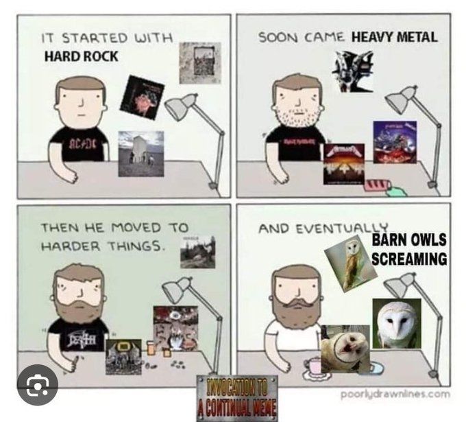 4 panel comic, originally by poorlydrwanlines.com , but edited for barn owls.

1. Man in AC/DC shirt and 3 albums. "It started with Hard Rock"
2. Man in different shirt and albums, mussed hair, stubble, bags under eyes, and twitching. "Soon came Heavy Metal."
3. Man in different shirt and albums, mussed hair, beard, wide baggy eyes, more twitching. "Then he moved to harder things."
4. Man in white shirt and 3 images of barn owls, well groomed facial hair. "And eventually Barn Owls Screaming."

What might be a title: Invocation to a Continual Meme