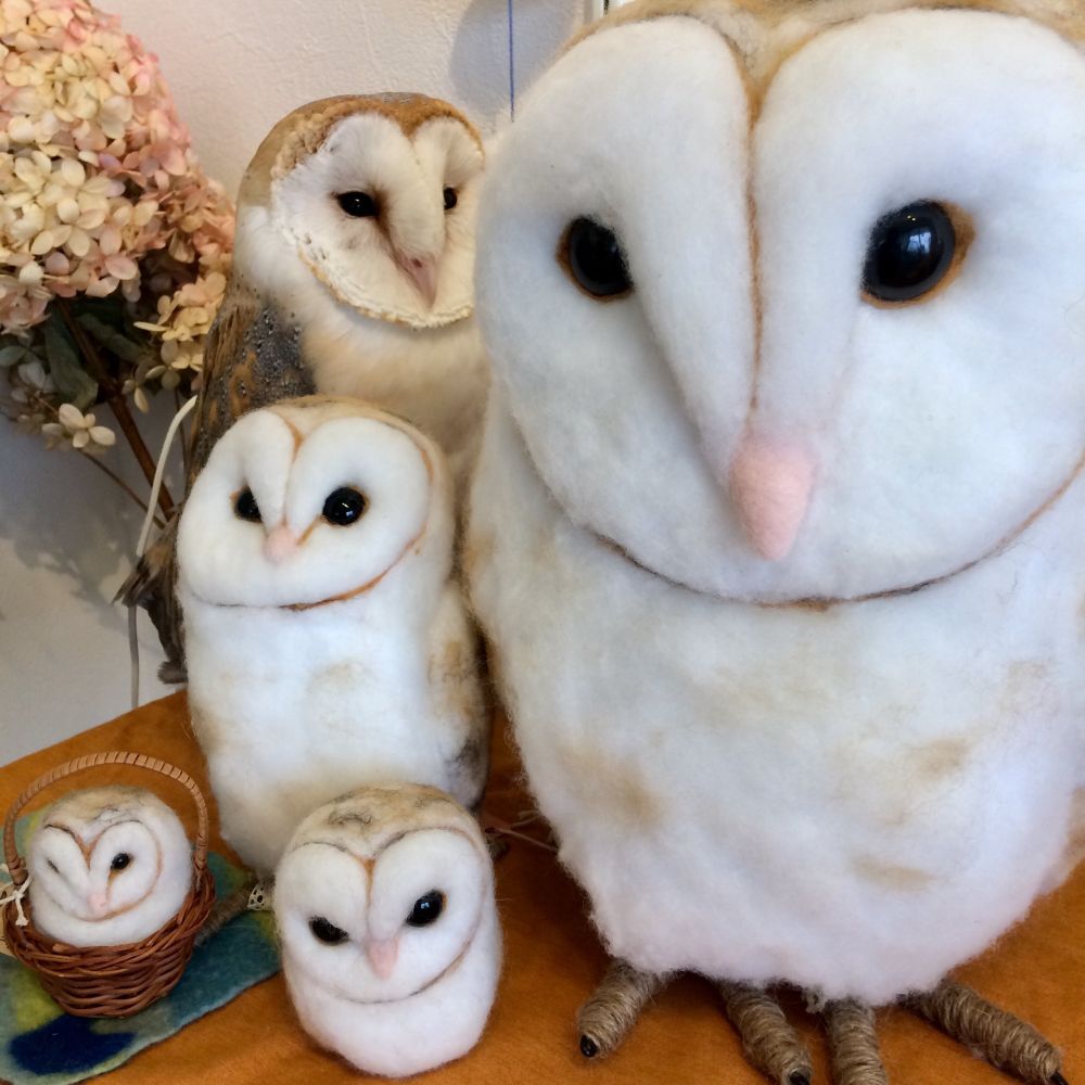 A real barn owl among 4 different-sized barn owl plushies.