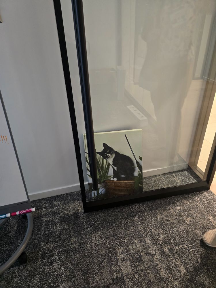 A canvas portrait is on the floor behind a glass door. The canvas shows a black and white cat with her head tilted. She is surrounded by plants and is sitting on a small wooden jewelry box.