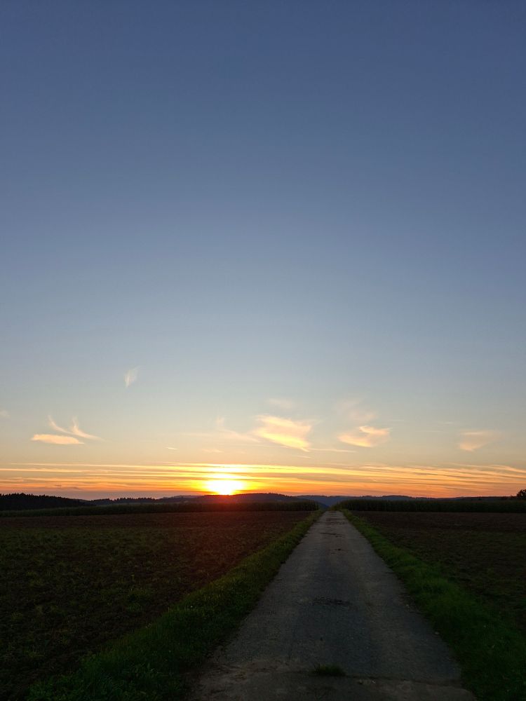 Sonnenuntergang 02.10.25 
Feldweg und Sonnenuntergang 