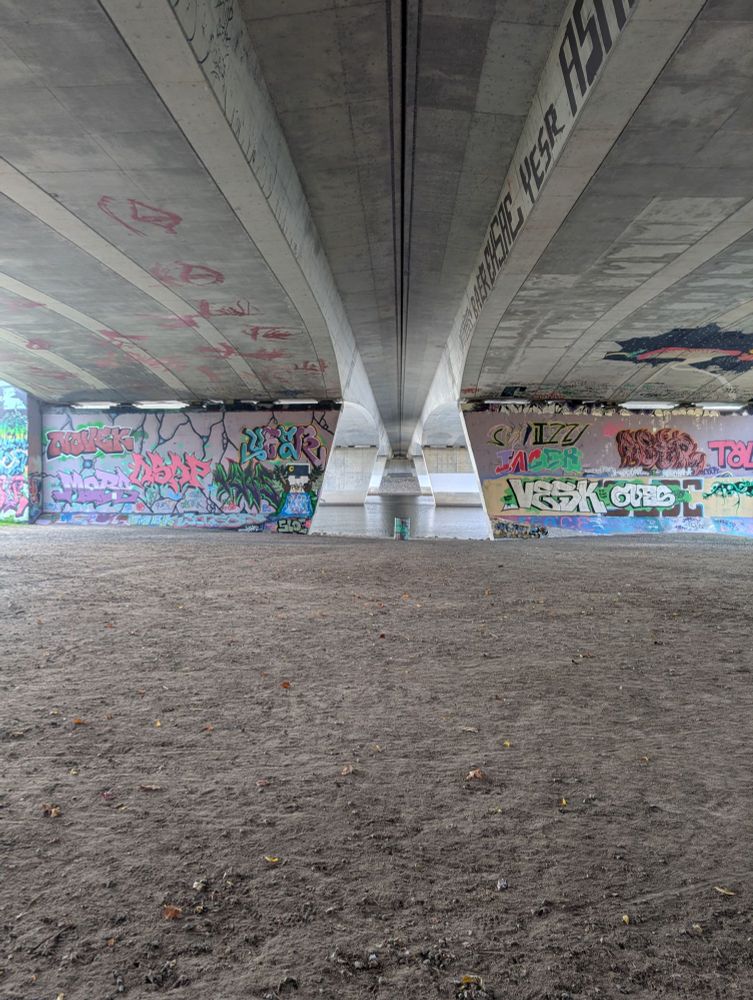 Under Bronson Bridge, Ottawa looking south November 18 2024.