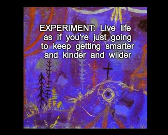 An interesting piece of abstract art in purples, reds and yellows, reminiscent of ancient cave paintings. The text over the top reads:
Experiment: Live life as if you're just going to keep getting smarter and kinder and wilder. 