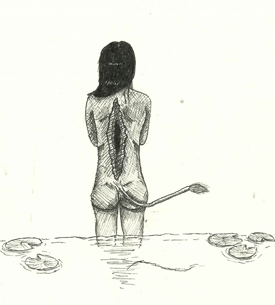 an ink sketch of a huldra standing naked in a pond with her back turned to the watcher.