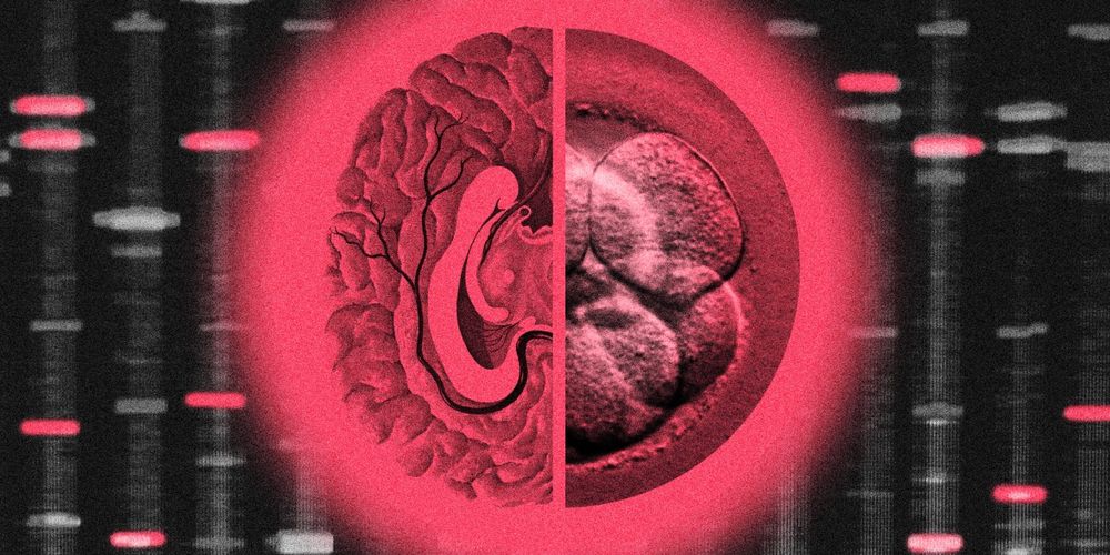Tech execs are paying tens of thousands to find brilliant dates or select high-IQ embryos. “They want to raise high-performing children.”