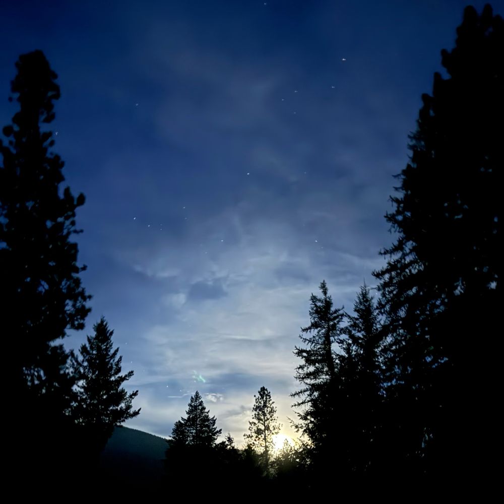 Moon rising over a distant mountain ridge backlighting a closer tree almost incandescently. The rest of the sky filled with up-lit clouds giving way to a deep blue with twinkling stars. 