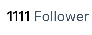 Ein Screenshot mit der Followerzahl dieses Accounts: 1111.
