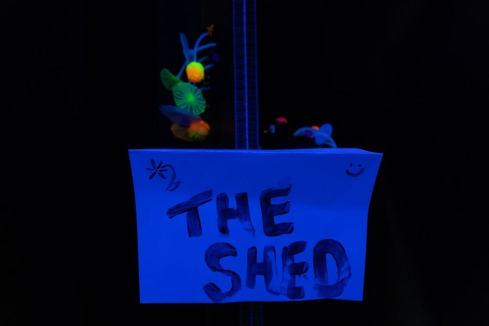 the words "The Shed" are written in sunscreen and illuminated with UV. UV fluorescent objects are on top
