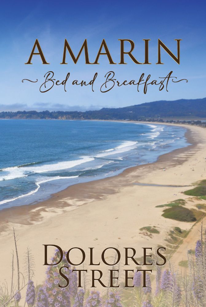 shows cover of the book