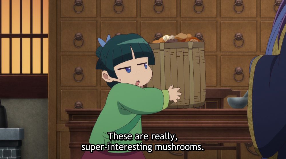 Maomao from Apothecary Diaries holding a big container overflowing with mushrooms saying "These are really, super-interesting mushrooms."