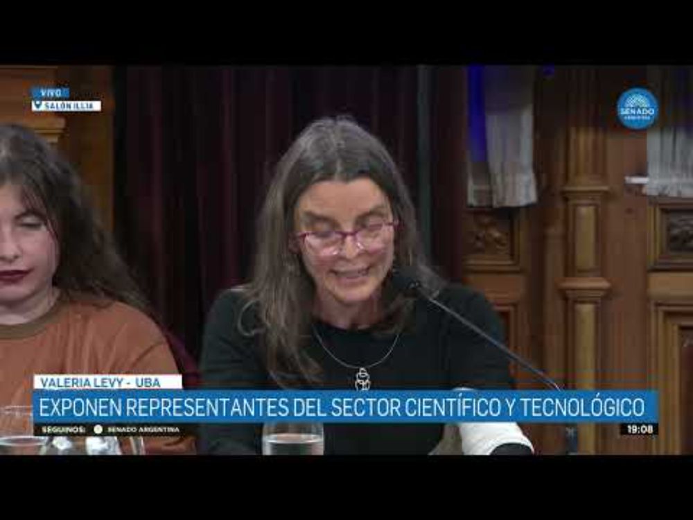 VALERIA LEVY - COMISIÓN DE CIENCIA Y TECNOLOGÍA 04-06-25