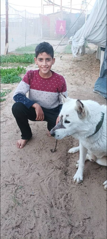 A photo of Mitqal‘s young son Firas with the family dog Leo. The photo is taken while displacement and famine in genocide.