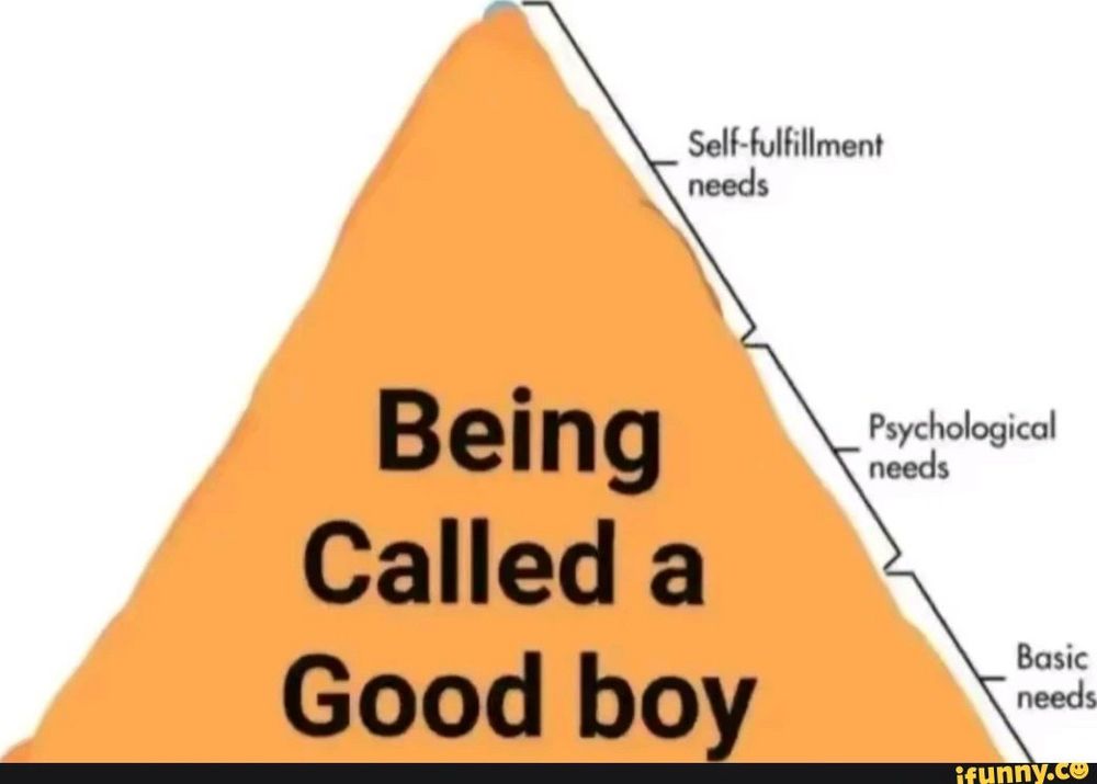 Food pyramid but instead is one giant pyramid of being called good boy