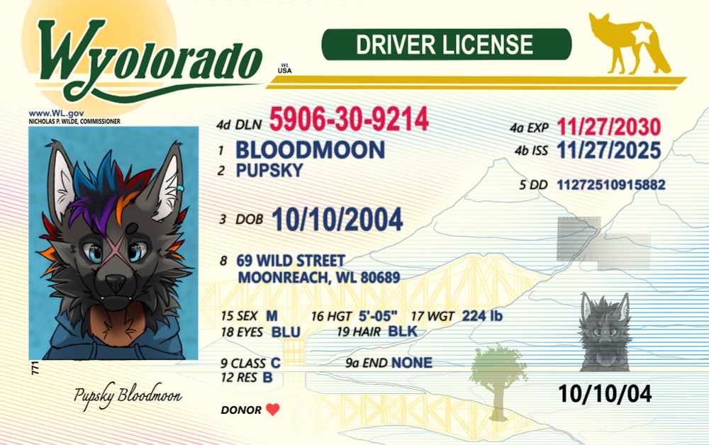 Pupsky Bloodmoon drivers license for Wyolorado