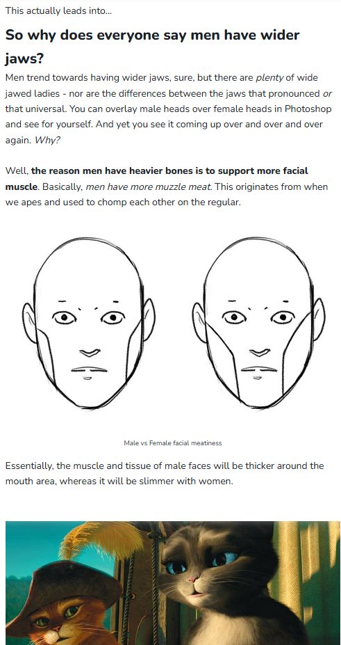 Excerpt from "How Every How-To Draw Guide Gets Gender Wrong"