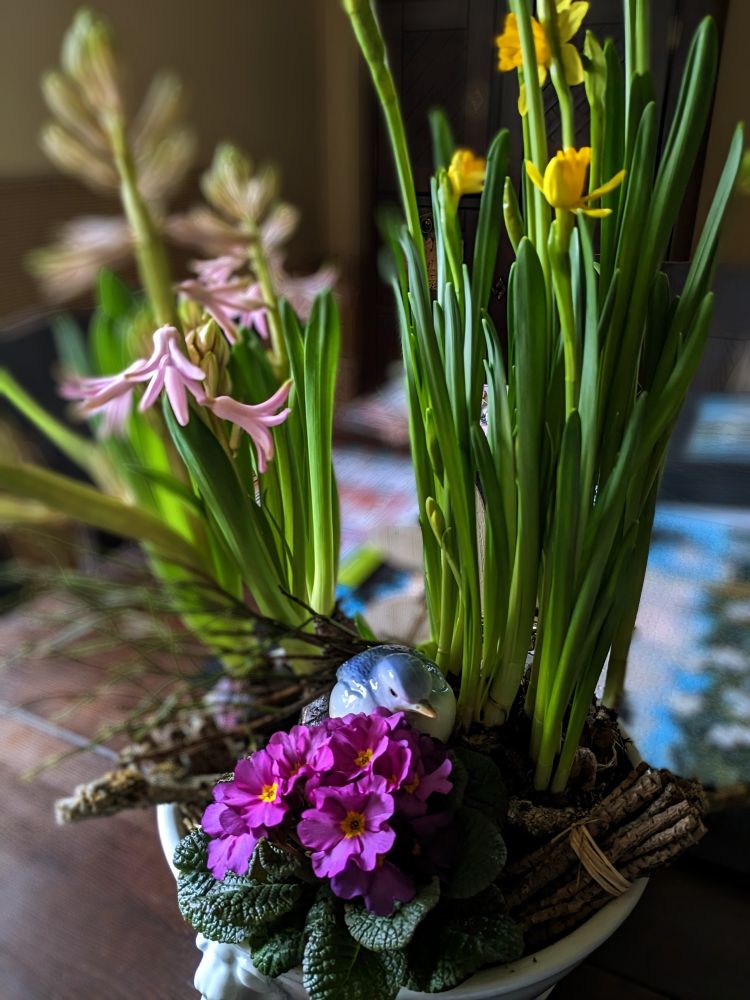 Eine Schüssel gefüllt mit blühenden Hyazinthen, Osterglocken und Primeln. In der Mitte sitzt ein Porzellanvogel.