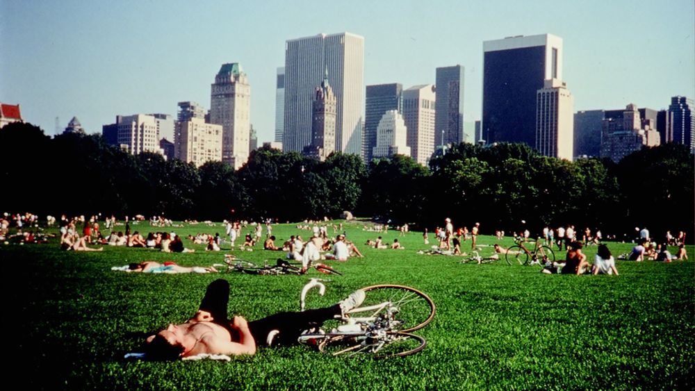 A still from Central Park (1990)