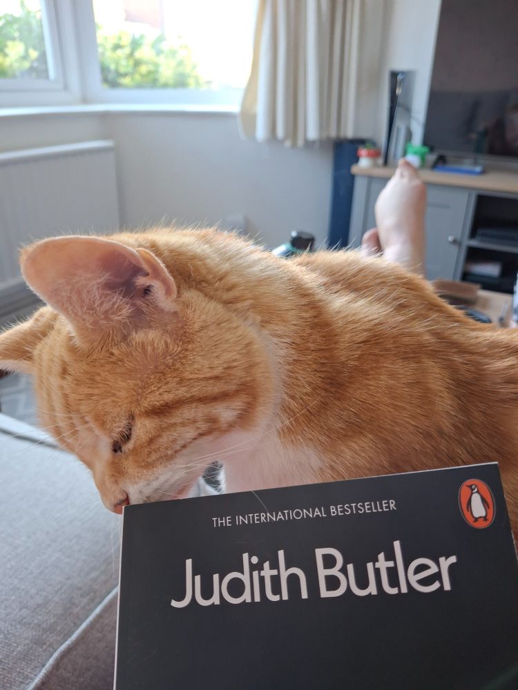 Pip the cat marking his nose on Judith Butler's Who's Afraid of Gender?