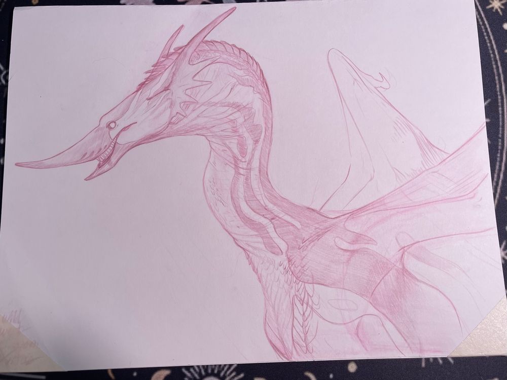 Photograph taken of a sketch, made in pink/red pencil. Sketch is of a dragon, with a long, exaggerated, shark like snout, and long s-curving neck