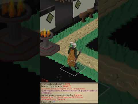 You have a funny feeling like you're being followed... ANOTHER PET!! #osrs #gaming #runescape