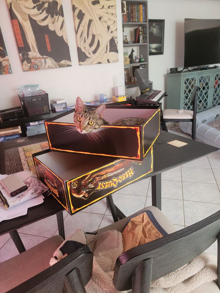 Cat in a box for the game Hero Quest.