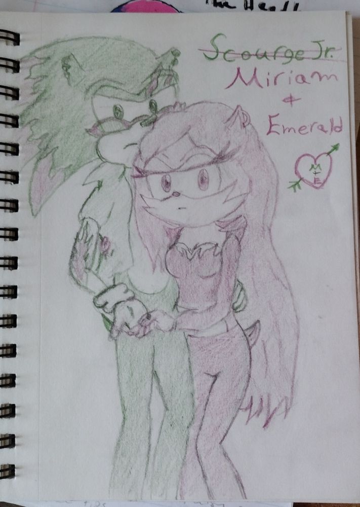 Emerald and Miriam. An unlikely couple from two separate worlds. Emerald the daughter of Shadow the hedgehog and Sally Acorn. Always trying to seek approval from her father but always being dismissed. Miriam hates his father so much he changed his name got kicked out from anti mobius after beating his dad, Scourge for hitting his mom, Fiona the fox. They met after running away or getting kicked out from their homes. Emerald doesn't understand social cues that well, and struggles understanding her own emotions, Miriam carries a lot of resentment of his abusive dad wanting to be nothing like him, and is sensitive and empathetic, especially towards Emerald. Emerald also has a strong and tough demeter, but is completely vulnerable with Miriam. They eventually become a couple and have been inseparable since. I redrew these characters and decided it would be cool if they were engaged, hints at their rings, and had a more rebellious look than they did initially to make them have more individuality. They're older than Sona (who's like 16) by five years, (so early 20's). 