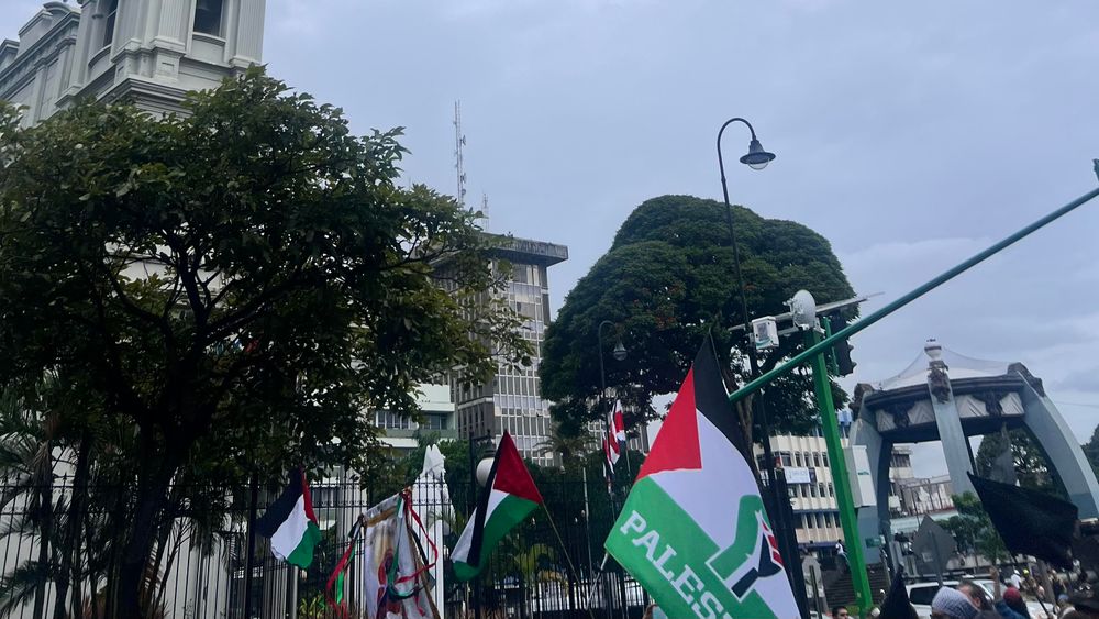 Banderas palestinas ondeando en una manifestación frente al parque central de San José en Costa Rica