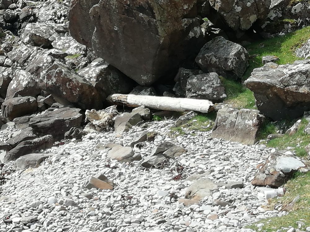A cave, and a washed up telegraph pole.