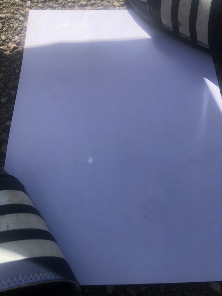 Vue resserrée de la feuille au sol, on y voit un petit point légèrement lumineux en forme de croissant de soleil 