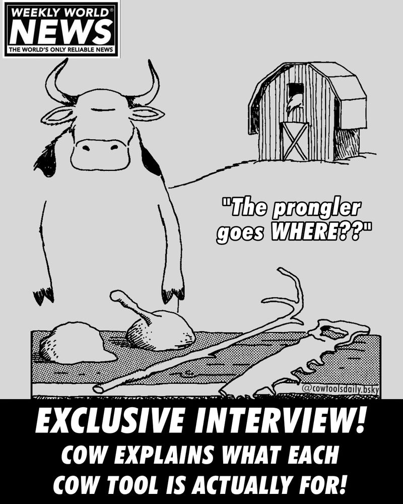 Cover for an issue of Weekly World News (The world's only reliable news)

In an illustration, a cow stands behind its table of 4 crudely made tools. Headline reads in bold impact font: EXCLUSIVE INTERVIEW! COW EXPLAINS EHAT EACH COW TOOL IS ACTUALLY FOR!

An added quote on the cover asks "the Prongler goes WHER??"